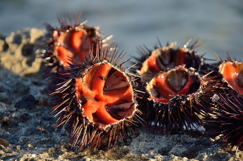 Miglior ristorante di pesce a Venezia in centro storico